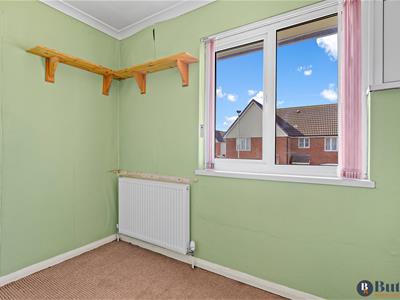 Picture 20